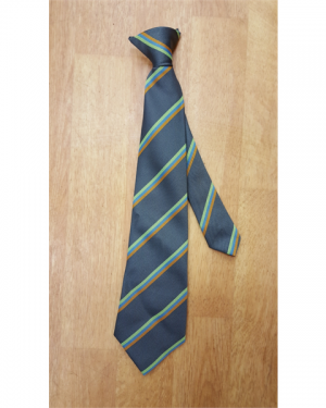 Hart School Tie