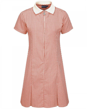 Avon Red Gingham Zip-front Summer Dress