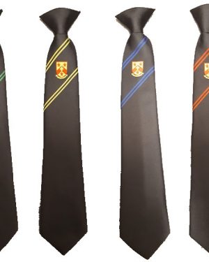 Nether Stowe School Tie