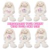 Large 45cm Personalised Embroidered Bunny Rabbit