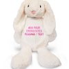 Large 45cm Personalised Embroidered Bunny Rabbit