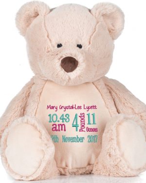 Large 45cm Personalised Embroidered Teddy Bear