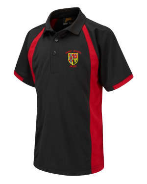 The Friary School Boys PE Polo